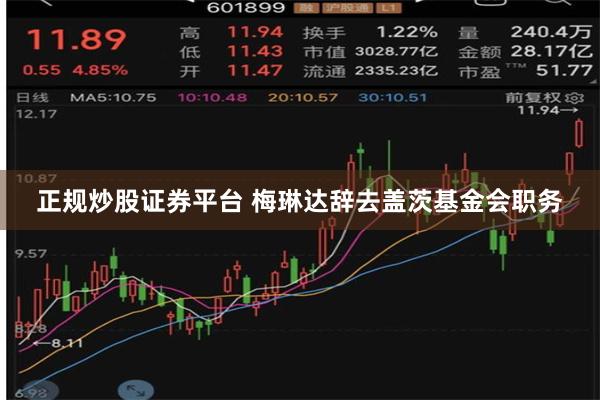 正规炒股证券平台 梅琳达辞去盖茨基金会职务