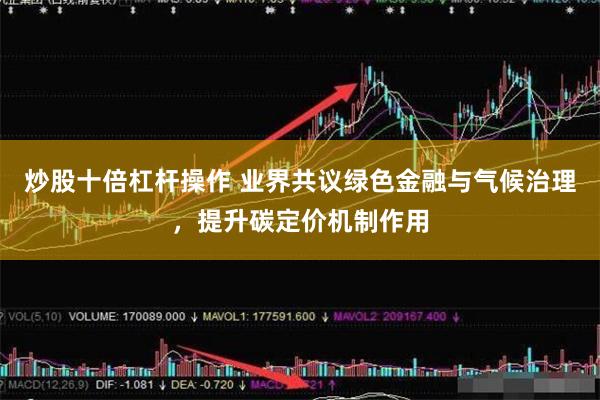 炒股十倍杠杆操作 业界共议绿色金融与气候治理，提升碳定价机制作用