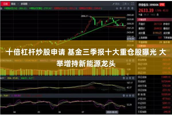 十倍杠杆炒股申请 基金三季报十大重仓股曝光 大举增持新能源龙头